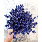 suszona lawenda bukiet suszona lawenda bukiet